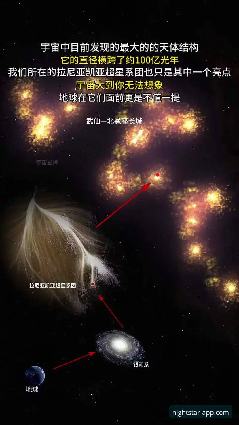 星空APP vs 其他娱乐平台：哪个更值得选择？全面对比分析
